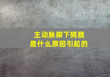 主动脉瓣下隔膜是什么原因引起的