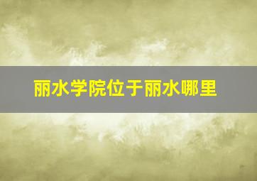 丽水学院位于丽水哪里