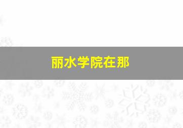 丽水学院在那