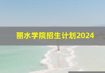 丽水学院招生计划2024