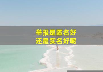 举报是匿名好还是实名好呢