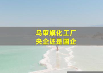 乌审旗化工厂央企还是国企