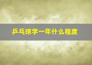 乒乓球学一年什么程度