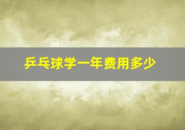 乒乓球学一年费用多少