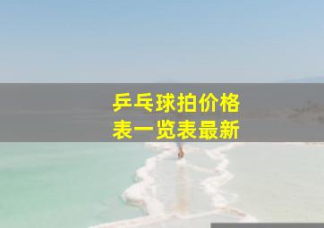 乒乓球拍价格表一览表最新