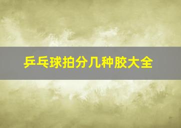 乒乓球拍分几种胶大全