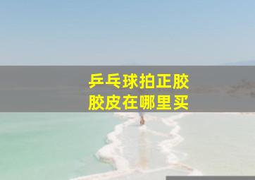 乒乓球拍正胶胶皮在哪里买