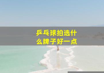 乒乓球拍选什么牌子好一点