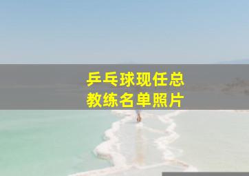 乒乓球现任总教练名单照片