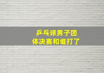 乒乓球男子团体决赛和谁打了