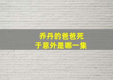 乔丹的爸爸死于意外是哪一集