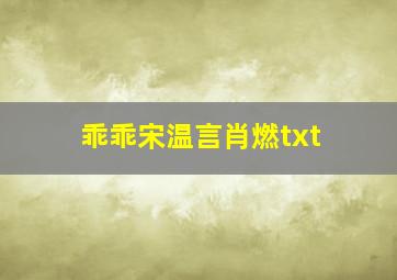 乖乖宋温言肖燃txt