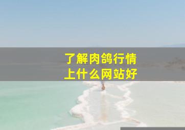 了解肉鸽行情上什么网站好