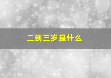 二到三岁是什么