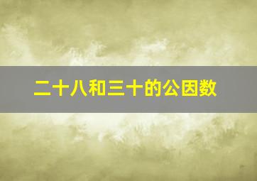 二十八和三十的公因数