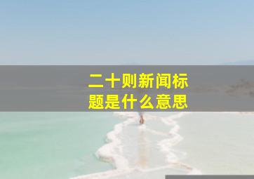 二十则新闻标题是什么意思