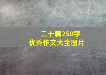 二十篇250字优秀作文大全图片