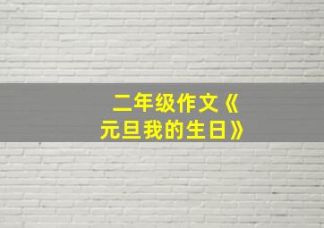 二年级作文《元旦我的生日》