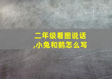 二年级看图说话,小兔和鹅怎么写