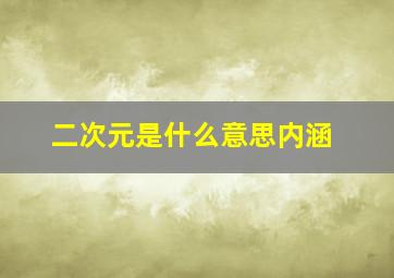 二次元是什么意思内涵