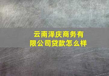 云南泽庆商务有限公司贷款怎么样