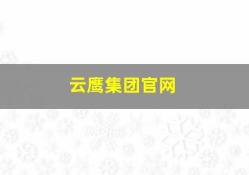 云鹰集团官网