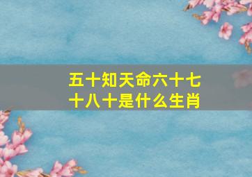 五十知天命六十七十八十是什么生肖