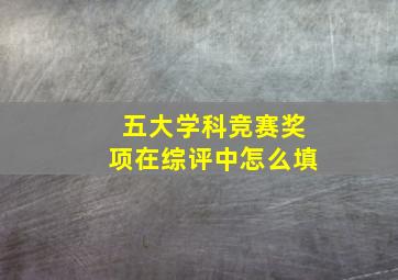 五大学科竞赛奖项在综评中怎么填