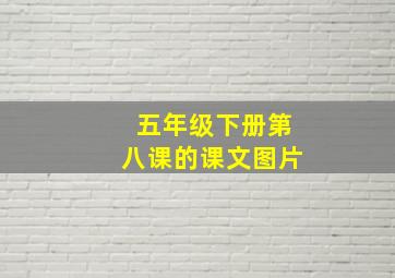 五年级下册第八课的课文图片