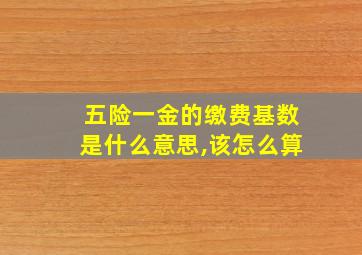 五险一金的缴费基数是什么意思,该怎么算