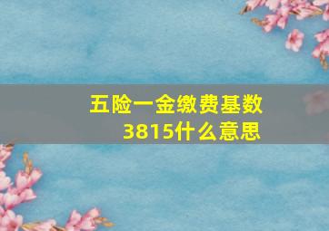 五险一金缴费基数3815什么意思