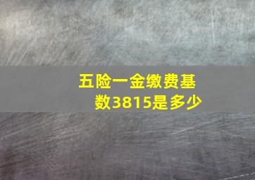 五险一金缴费基数3815是多少