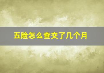 五险怎么查交了几个月