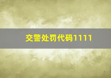 交警处罚代码1111