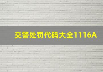 交警处罚代码大全1116A