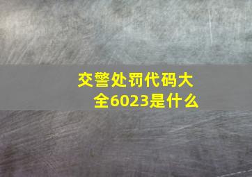 交警处罚代码大全6023是什么