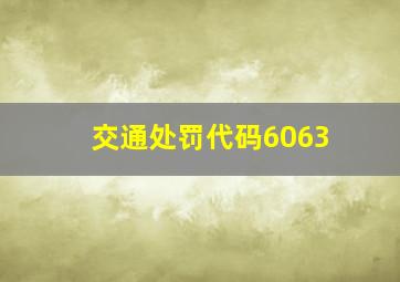 交通处罚代码6063