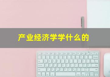 产业经济学学什么的