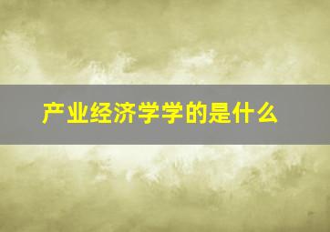 产业经济学学的是什么