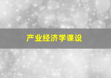 产业经济学课设