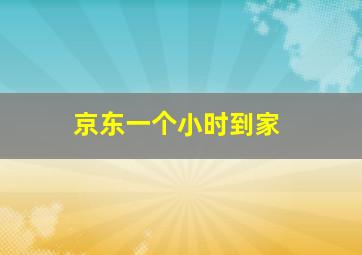 京东一个小时到家