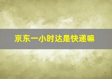 京东一小时达是快递嘛