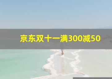 京东双十一满300减50