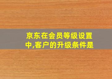 京东在会员等级设置中,客户的升级条件是