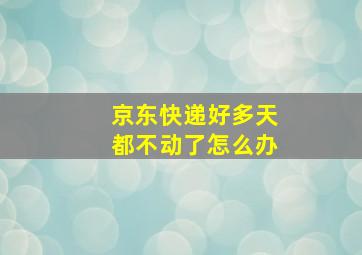 京东快递好多天都不动了怎么办