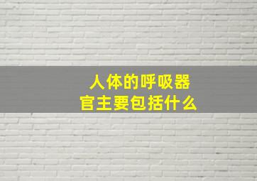 人体的呼吸器官主要包括什么