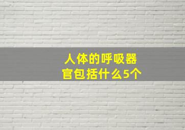 人体的呼吸器官包括什么5个