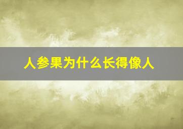 人参果为什么长得像人