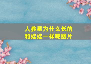 人参果为什么长的和娃娃一样呢图片