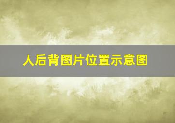 人后背图片位置示意图